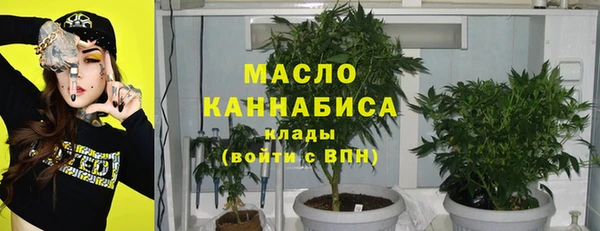 2c-b Богородск